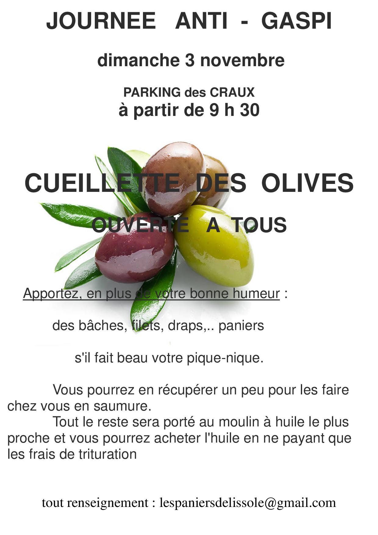 cueillette d olives